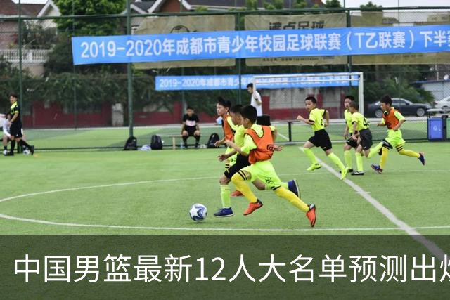中国男篮最新12人大名单预测出炉，男篮赢球关键点，苏群早已点明