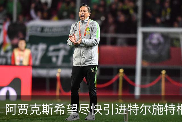 阿贾克斯希望尽快引进特尔施特根，但警告说，等待也有底线